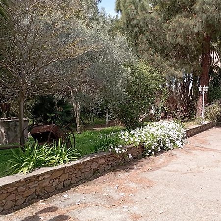 Hotel Garden Nuraminis Zewnętrze zdjęcie